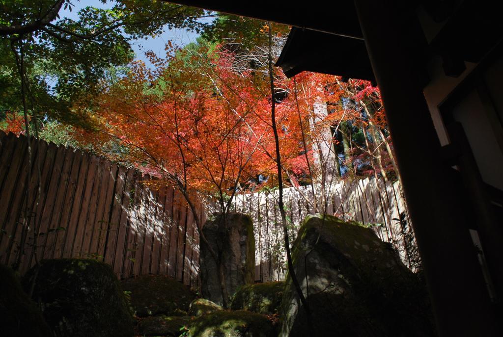 Akizuki Spa Ryokan Seiryuan Asakura  Dış mekan fotoğraf